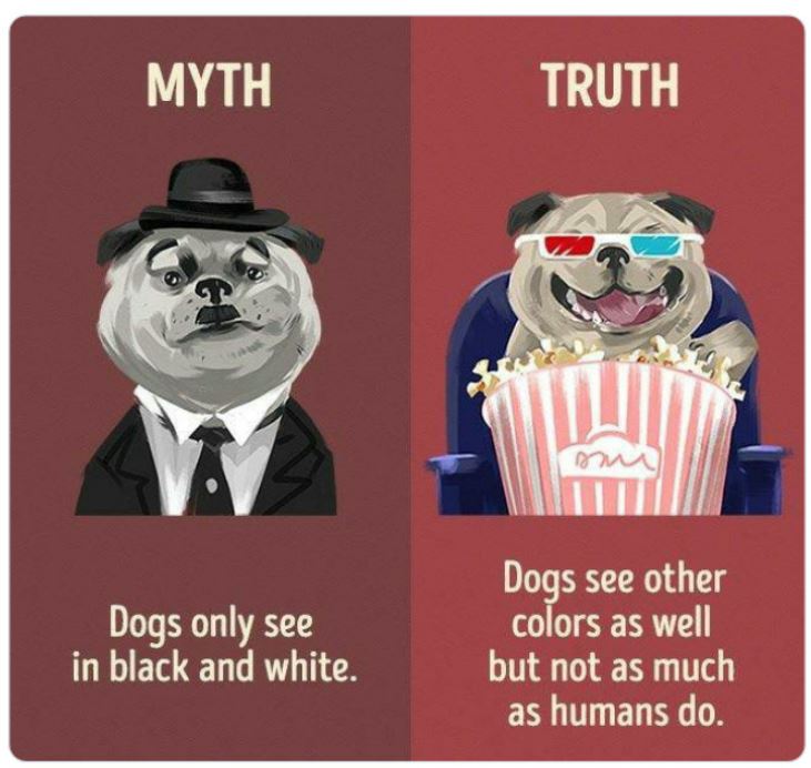 40 Facts That Are Actually Myths.