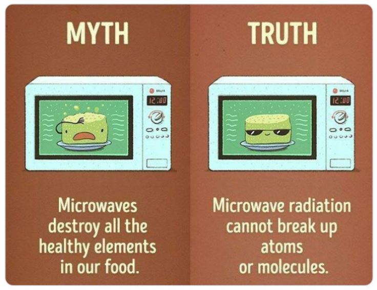 40 Facts That Are Actually Myths.