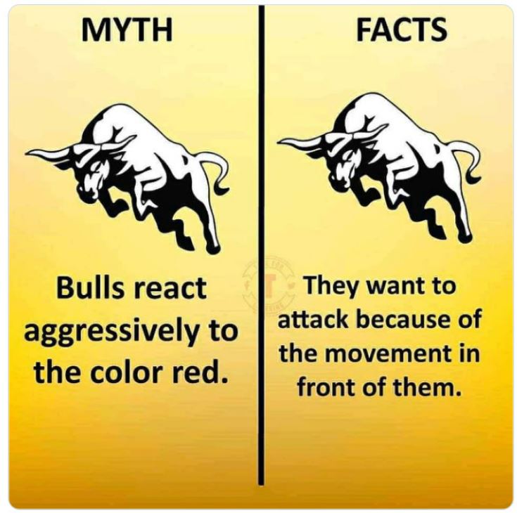 40 Facts That Are Actually Myths.