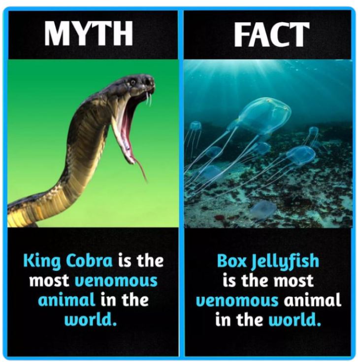 40 Facts That Are Actually Myths.