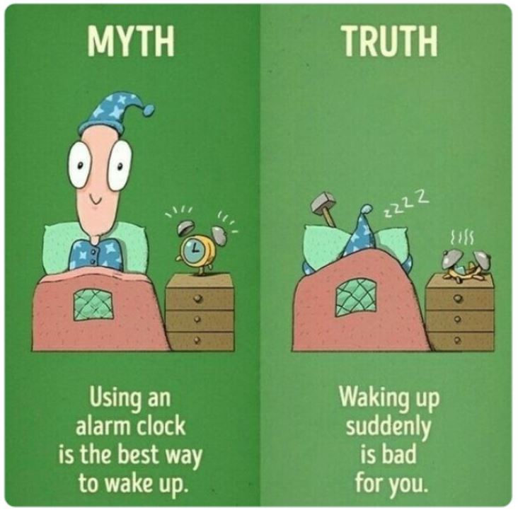 40 Facts That Are Actually Myths.