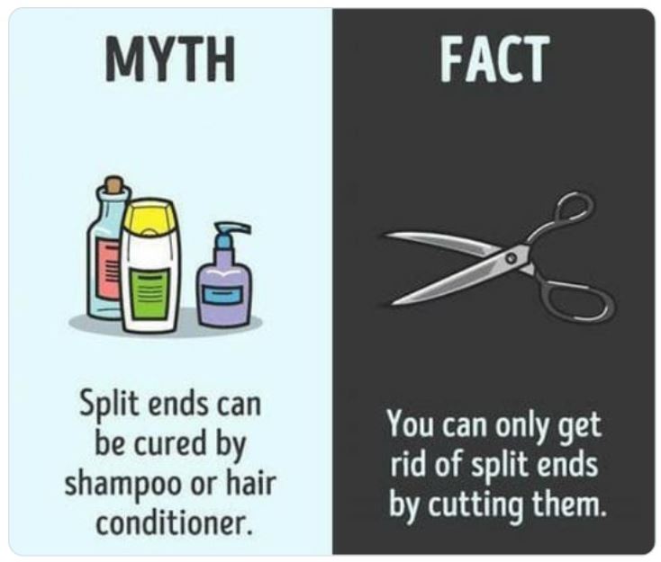 40 Facts That Are Actually Myths.