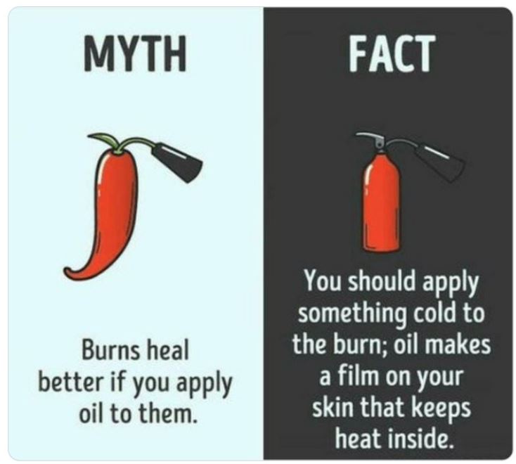 40 Facts That Are Actually Myths.