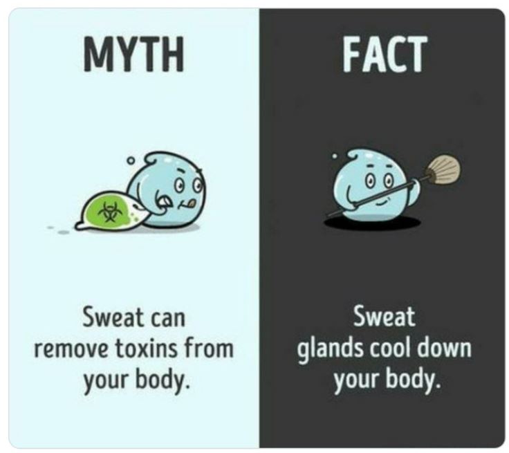 40 Facts That Are Actually Myths.