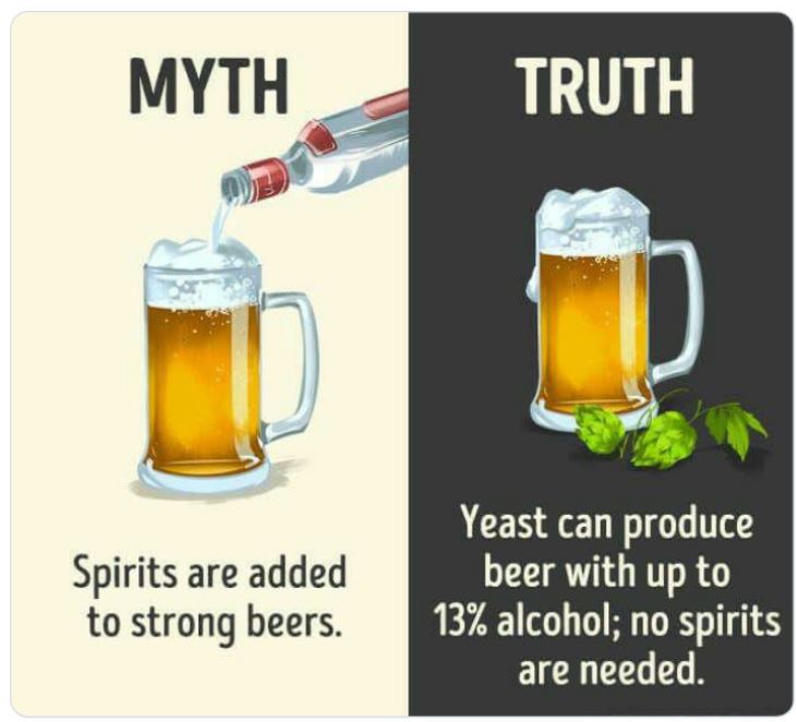 40 Facts That Are Actually Myths.