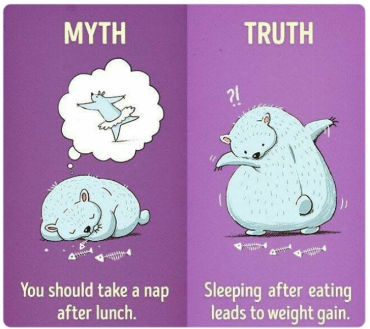 40 Facts That Are Actually Myths.