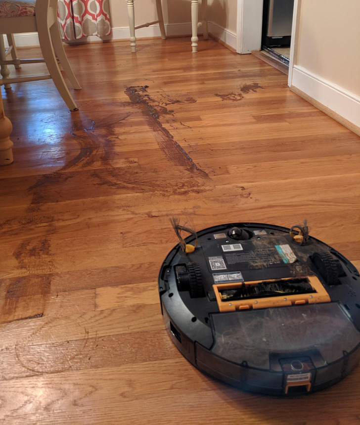 “This is a brand new robot vacuum we got as a wedding gift. Don’t even know where to begin.”