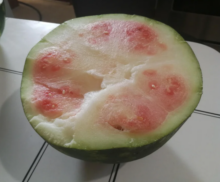 “This watermelon I bought.”