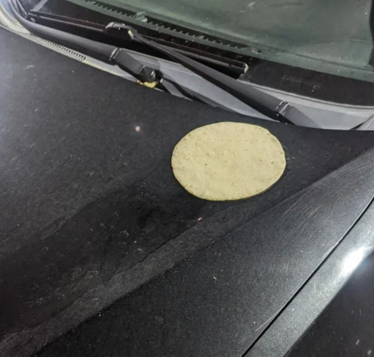 “Somebody put a tortilla on my hood. It baked on there due to the high heat yesterday. Now I have to clean it off when I get off work.”