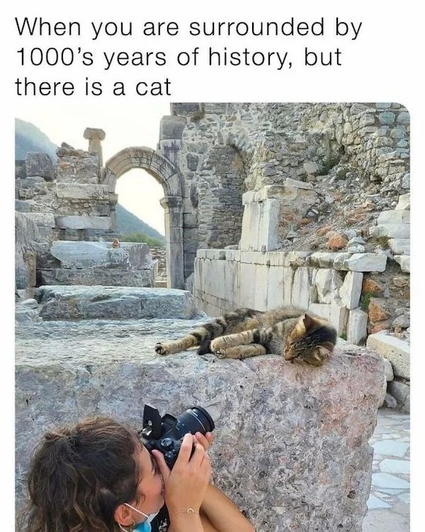 32 History Memes To Make You Think.