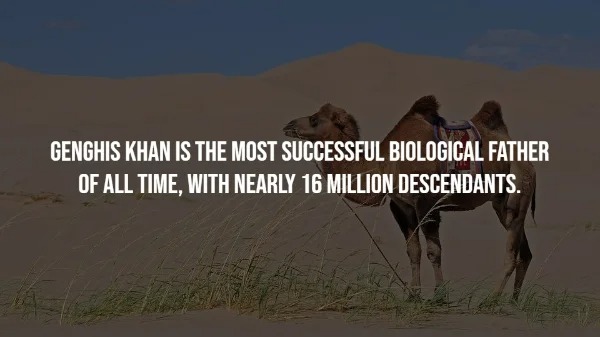 Interesting Facts About The Ancient Past.