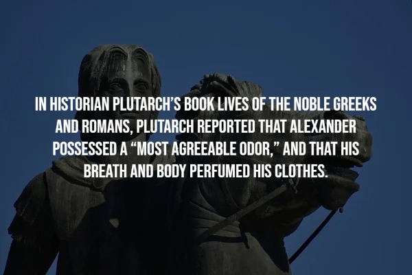 Interesting Facts About The Ancient Past.