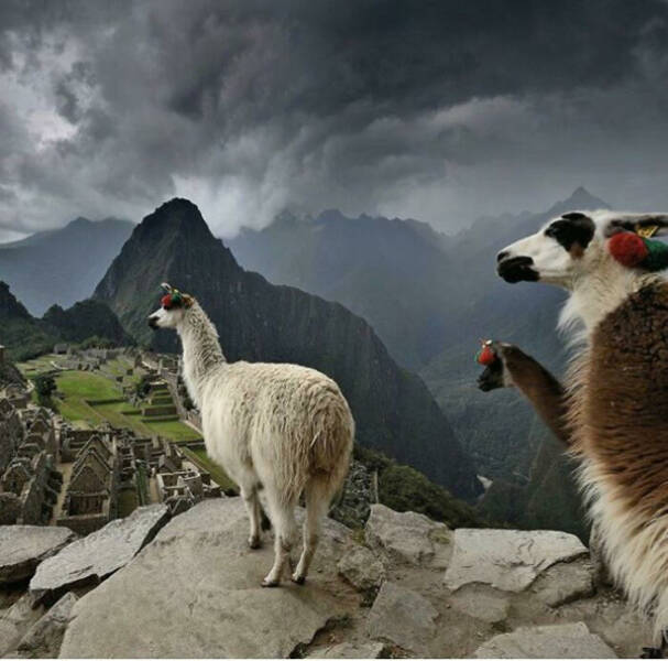 pics with confusing perspectives - mountain machu picchu