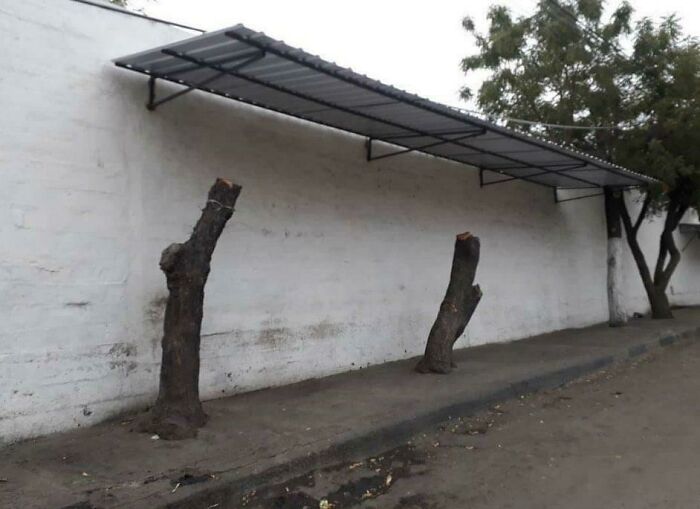 poorly designed - roof