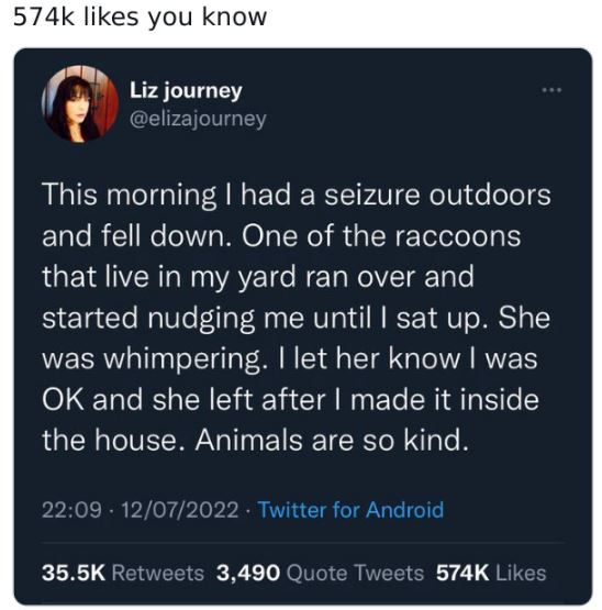 30 Cringey And Embarrassing Lies.