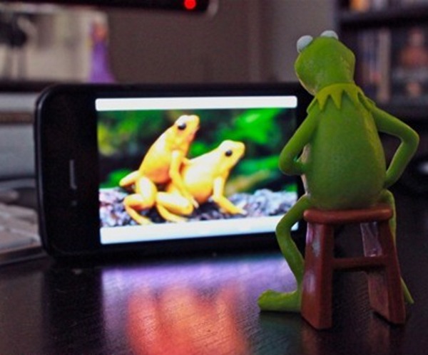 spicy memes - kermit watching frog porn - 27