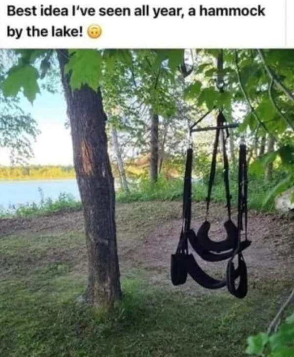 spicy memes - tree - Best idea I've seen all year, a hammock by the lake!