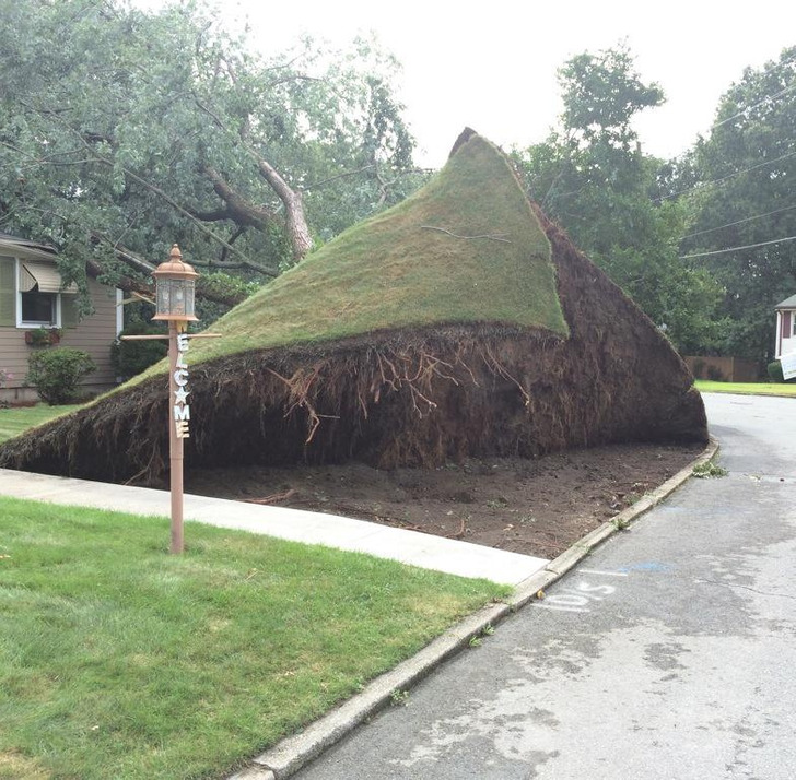 35 People Who Wish They Could Restart Their Day.