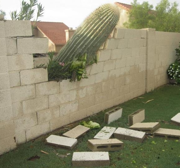 35 People Who Wish They Could Restart Their Day.