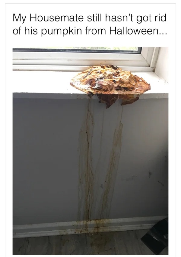 35 People Who Wish They Could Restart Their Day.