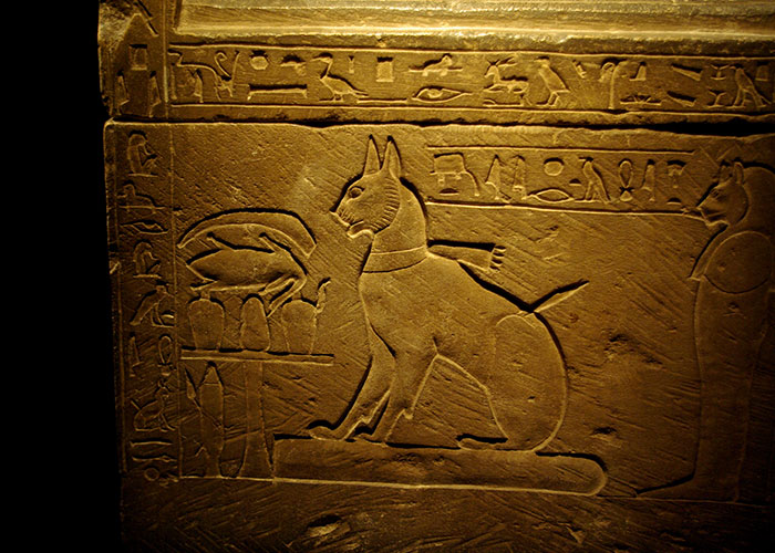 fuck you moments - history  - cat sarcophagus