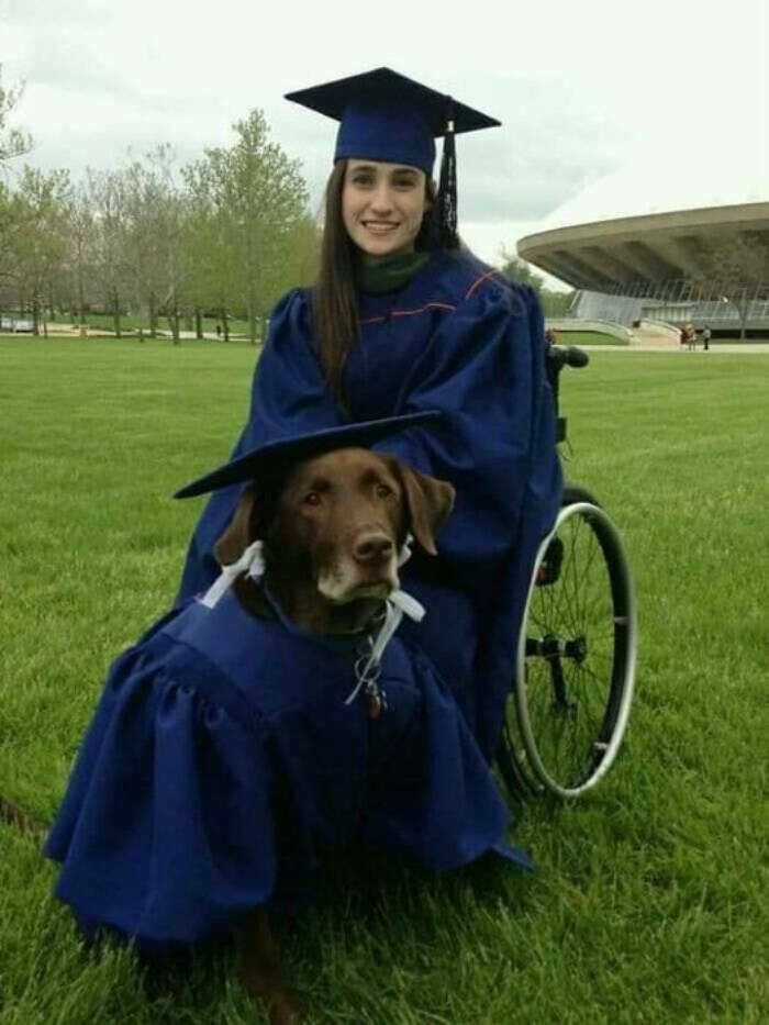 fascinating photos - service dog graduation cap and gown