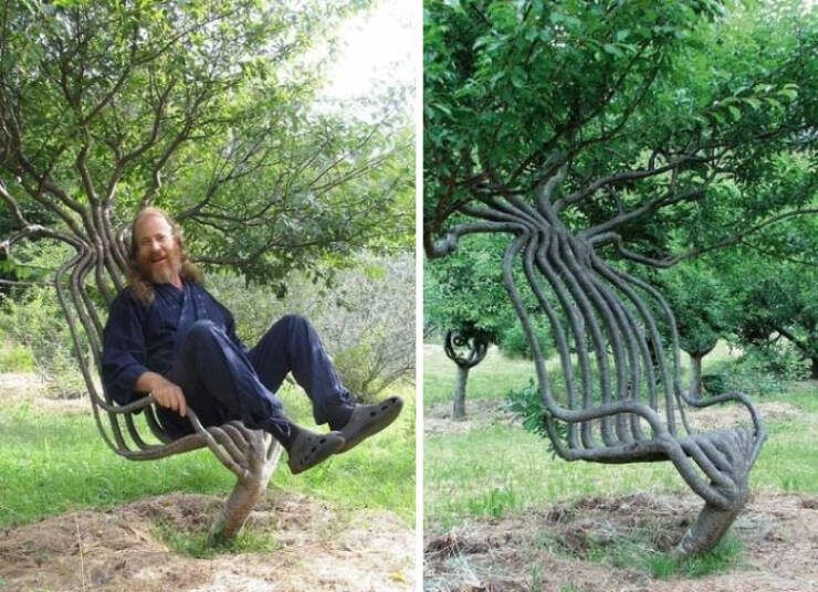 fascinating photos - tree chair