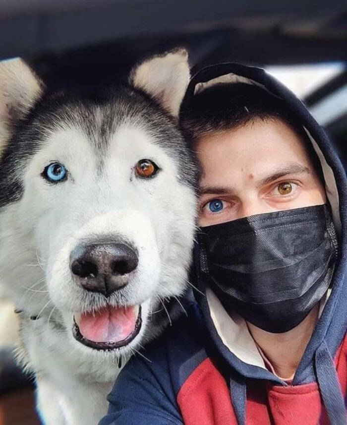 fascinating photos - dog with heterochromia