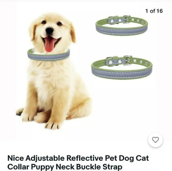 photoshop fails - cute dog - 1 of 16 Nice Adjustable Reflective Pet Dog Cat Collar Puppy Neck Buckle Strap