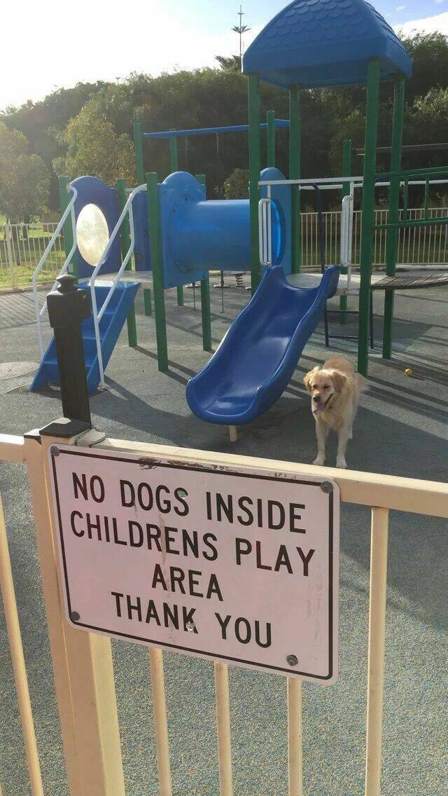 34 People Who Play By Their Own Rules.