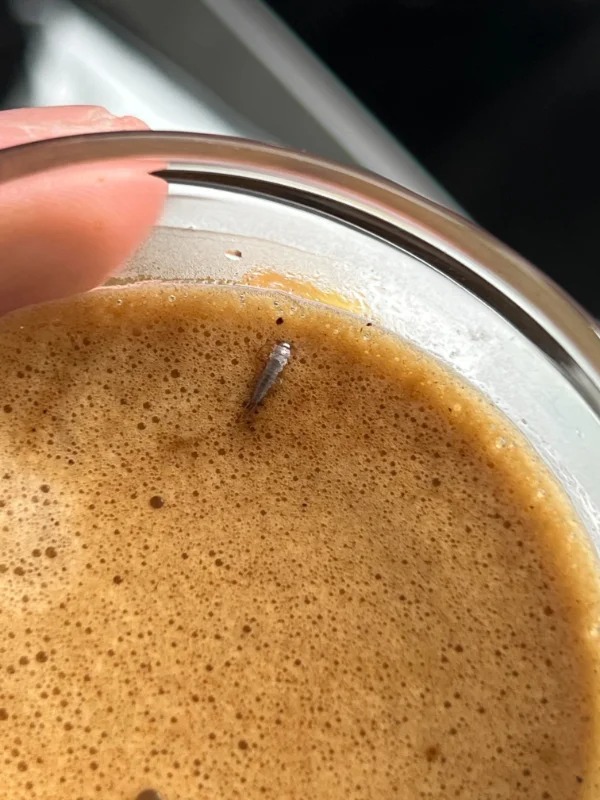 “Went to make espresso and this came out of my machine”