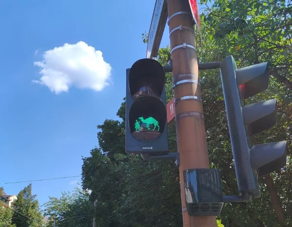 “This traffic light in Germany has a little girl and a camel as signal lights.”