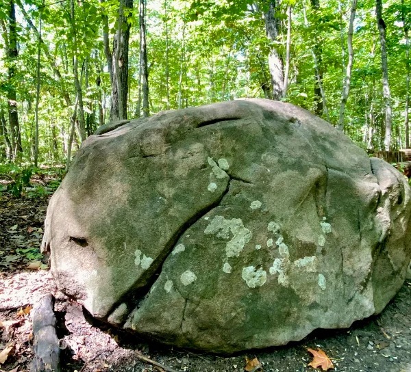 This massive rock look like a toirtose head.