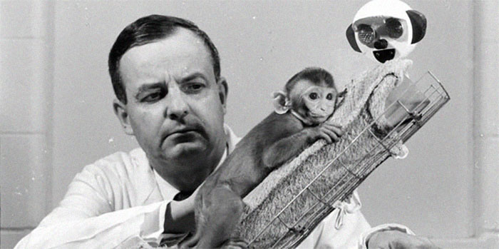 Harry Harlow. He began his career as a young and unconventional scientist who wanted to prove that humans cannot survive without love and affection. To do so, he needed an animal that was sufficiently humanlike and easy to manage. He settled on rhesus monkeys.

Harlow's research went in a really dark direction as scholar after scholar refused to acknowledge its validity. While his first wife died a slow, painful demise from cancer, he became depressed and an alcoholic. He decided to deliberately raise monkeys from birth with as little love and affection as possible to see if they could ever recover.

They could not. Clinging to towels with wooden faces (which served as surrogate mothers), the monkeys couldn't learn about their culture or social skills. Some came out of their shells when introduced to new monkeys to befriend. To "fix" that, he invented the "pit of despair," an inverted pyramid the monkeys could not climb out of. They were depressed and pretty much became empty shells of living animals.