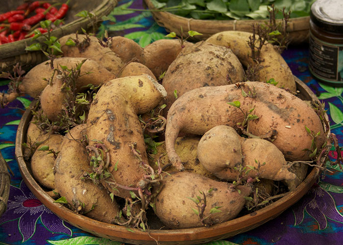 When I was about 8, my parents left a bag of potatoes in one of our basement closets (one with the sump pump and water equipment, so it was humid) for several months. Everybody forgot about it until my younger brother randomly opened the door one day and freaked out, thinking it was some kind of alien creature. The potatoes had grown into a tentacle-like mass in the months they were forgotten.