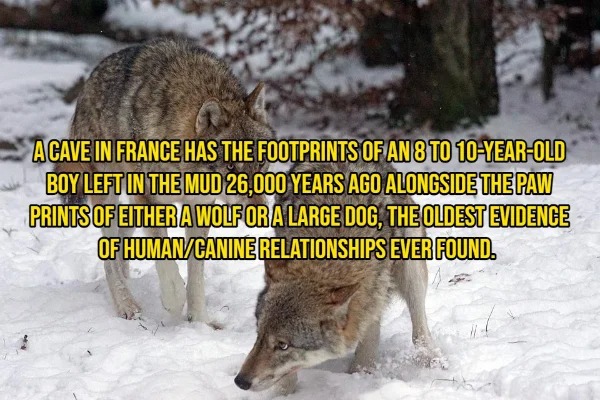 30 Fascinating Facts To Fill Your Head With.