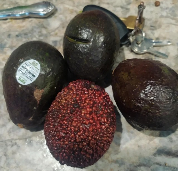 “A red bumpy avocado? It’s my first time seeing this. Wondering if it will give me superpowers.”