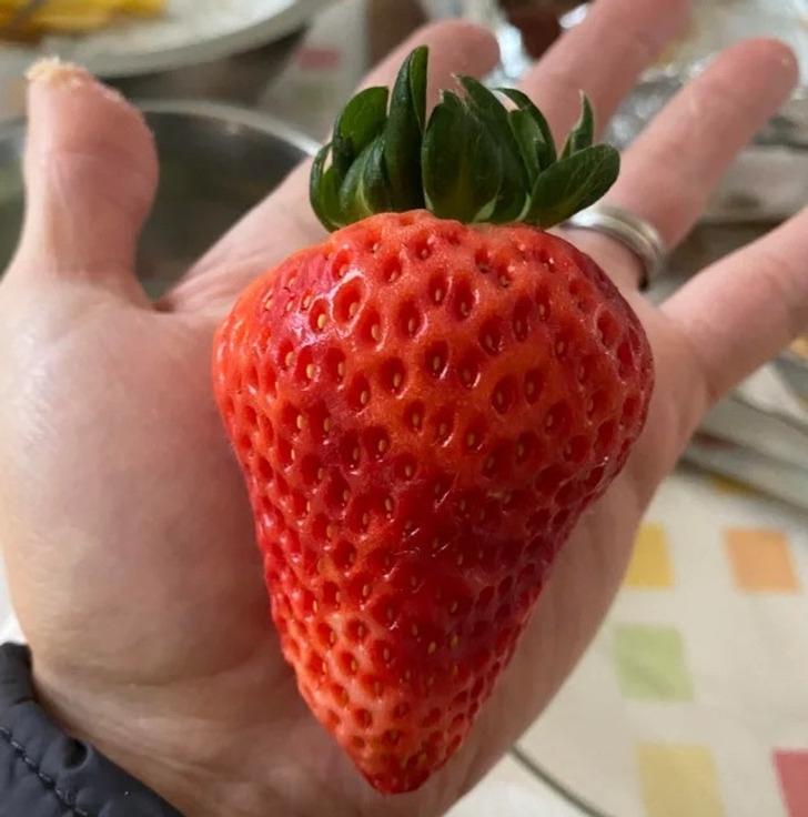 “The size of this strawberry”