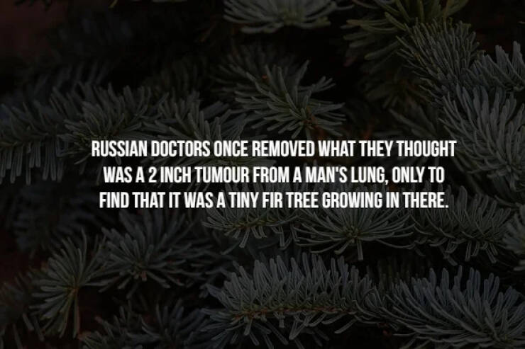 57 Creepy Facts To Give You Chills.