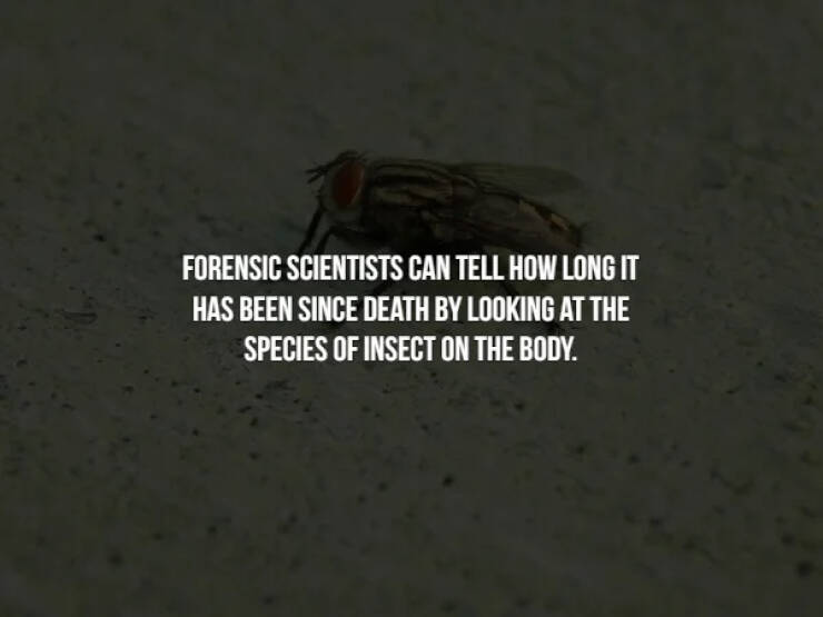 57 Creepy Facts To Give You Chills.