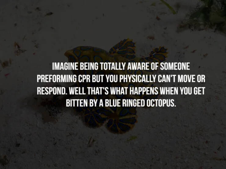 57 Creepy Facts To Give You Chills.