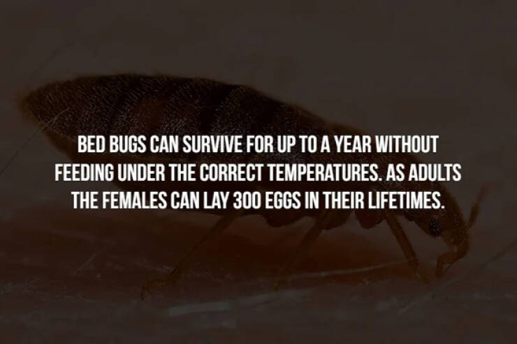 57 Creepy Facts To Give You Chills.