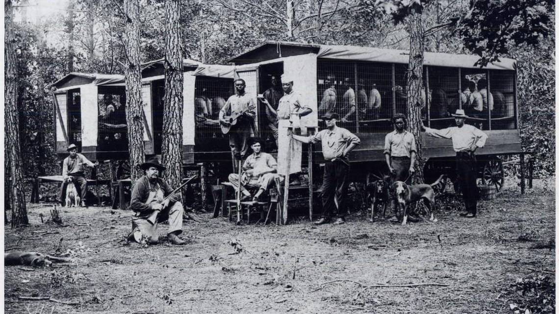 Prison labor, Pitt County North Carolina, 1910.The prisoners were transported in caged wagons to road work projects. Note the cook, musician, armed deputy and bloodhounds.
