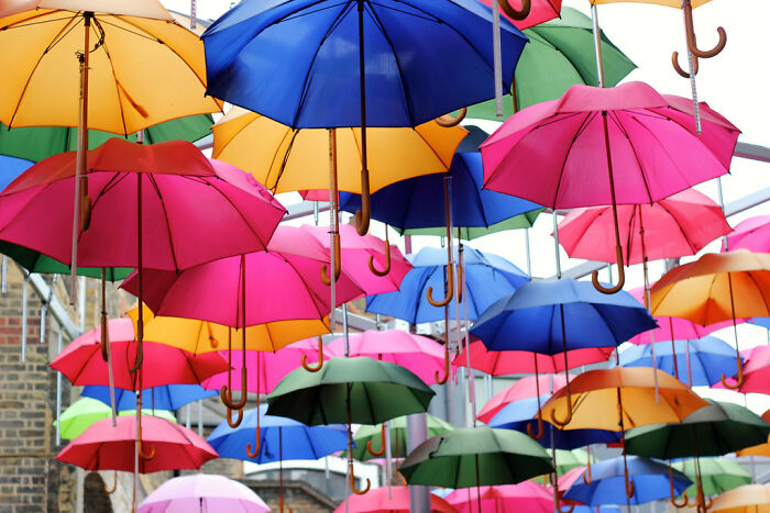 30 Stupid Things People Once Did.