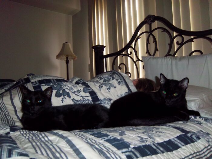 30 Stupid Things People Once Did.