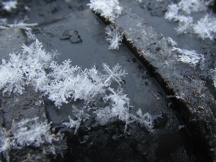 When it's so quiet you can hear snow falling, you're actually hearing the static discharge of the snowflake hitting the ground. It gathers the electricity while it's falling to Earth.