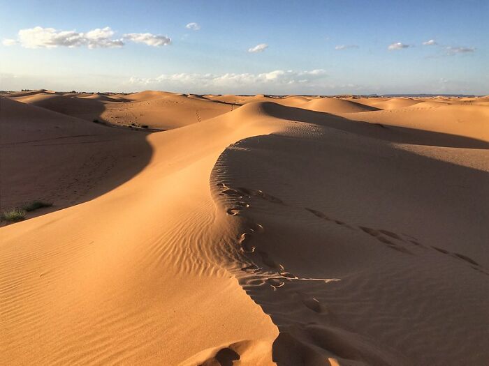 that sahara desert used to be under the ocean, and you can still find seashells in the sand there