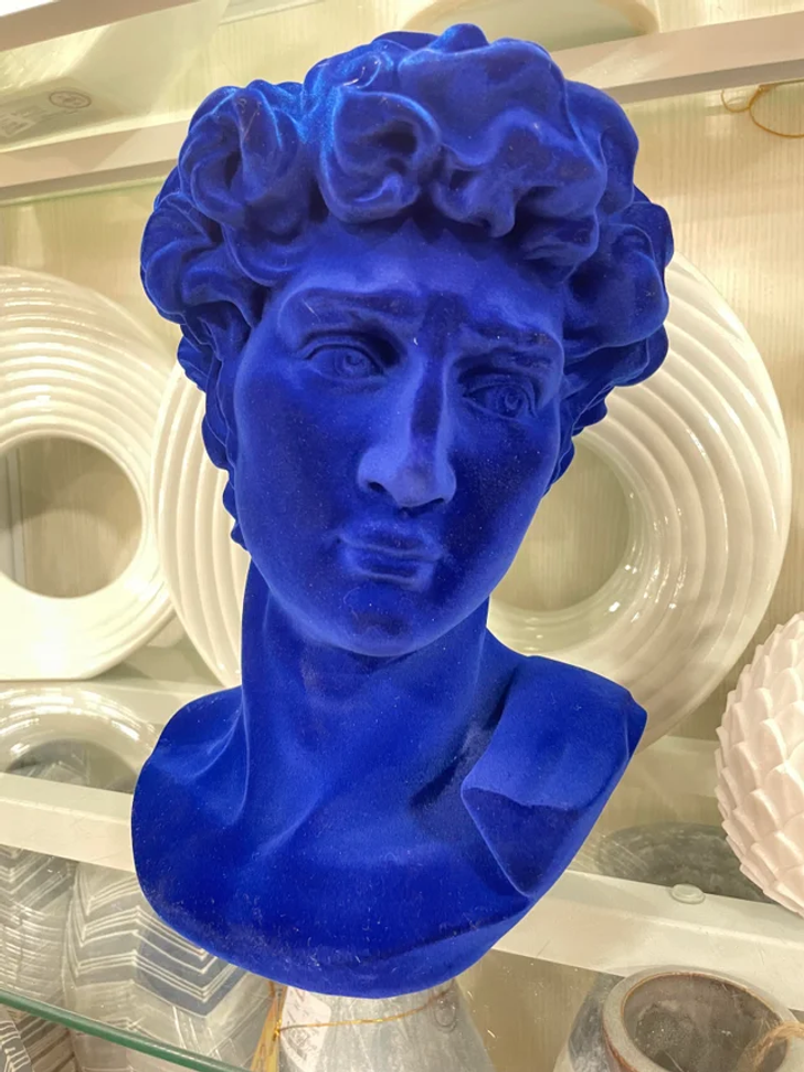 “Velour bust of David”