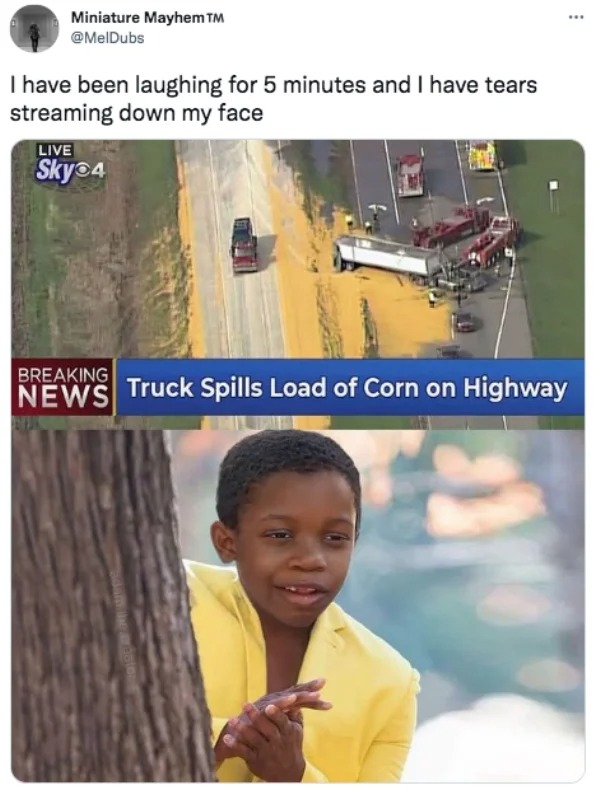 funniest tweets of the week - photo caption - Miniature Mayhem Tm I have been laughing for 5 minutes and I have tears streaming down my face Live Sky 4 Breaking News Truck Spills Load of Corn on Highway 231