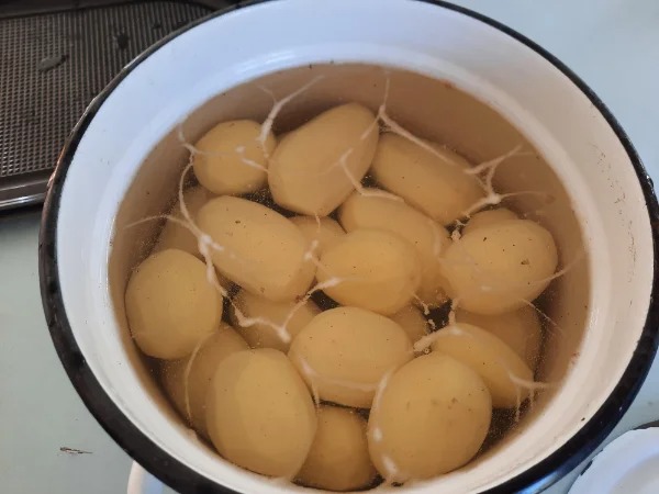 “Starch lines above the water make up the exact 2D outline of the potatoes below.”